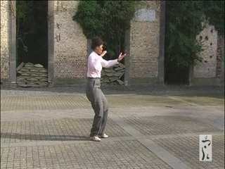 Ecole de Taijiquan Eric Caulier, 40 postures style Yang