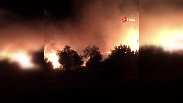 Düğünde atılan havai fişek ormanlık alanda yangın çıkardı