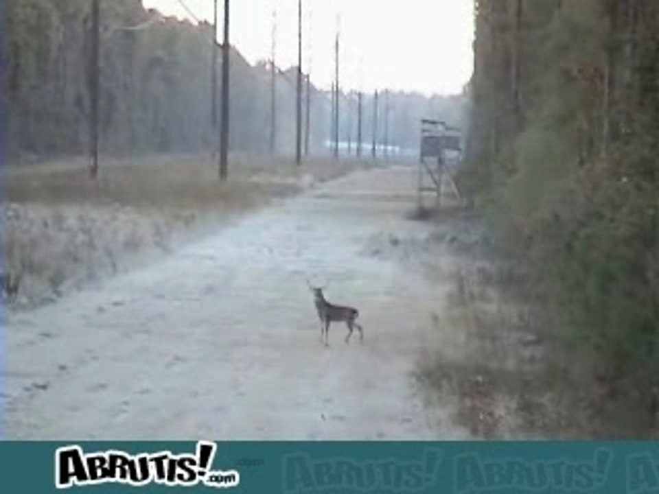 "humour" vive les chasseurs