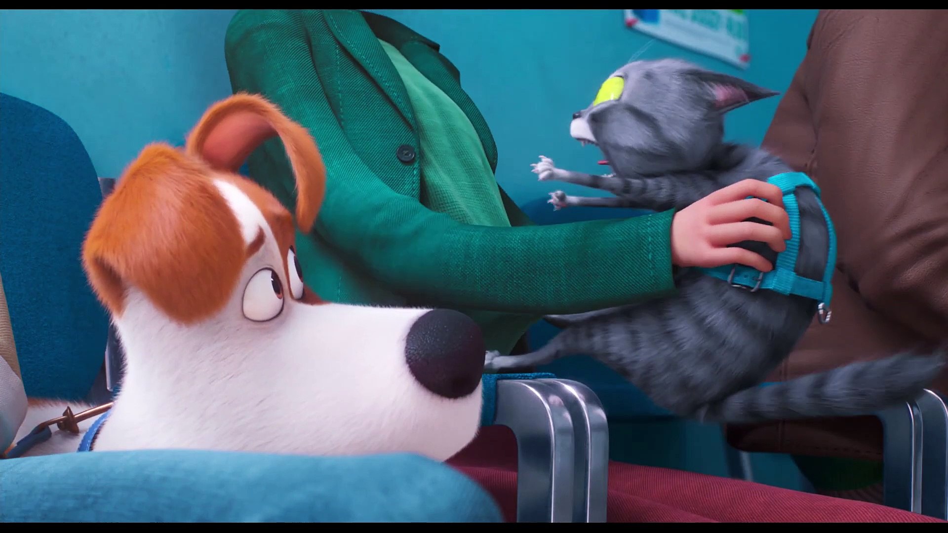 Тайная жизнь животных 2 дейзи. Включи тайная жизнь животных 2. Включи тайная жизнь животных 2. Включи тайная жизнь животных 2. Включи тайная жизнь животных 2.