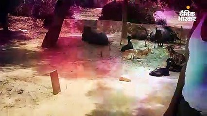 यहां हर घर में कब्र, रिश्तेदार भी आने से कतराते हैं