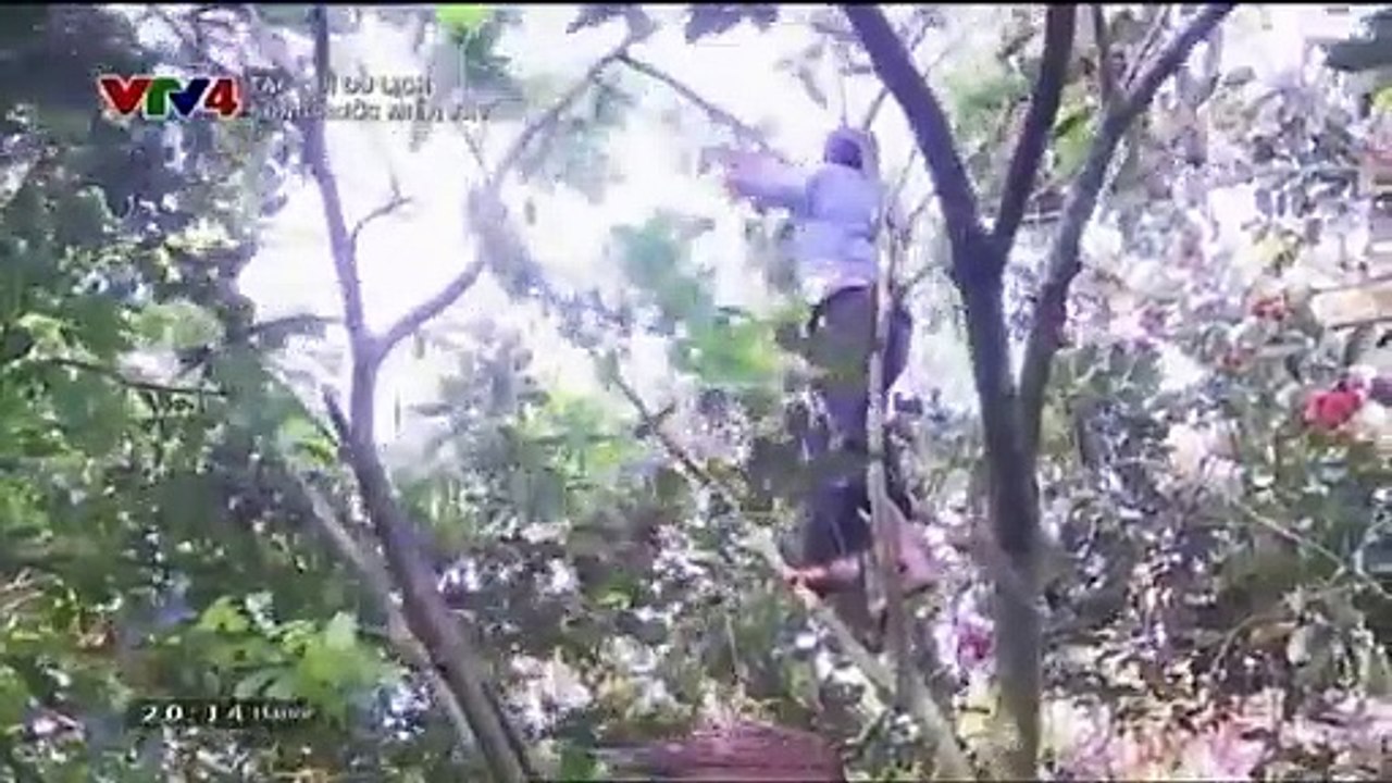 Du Lịch Sông Nước Miền Tây