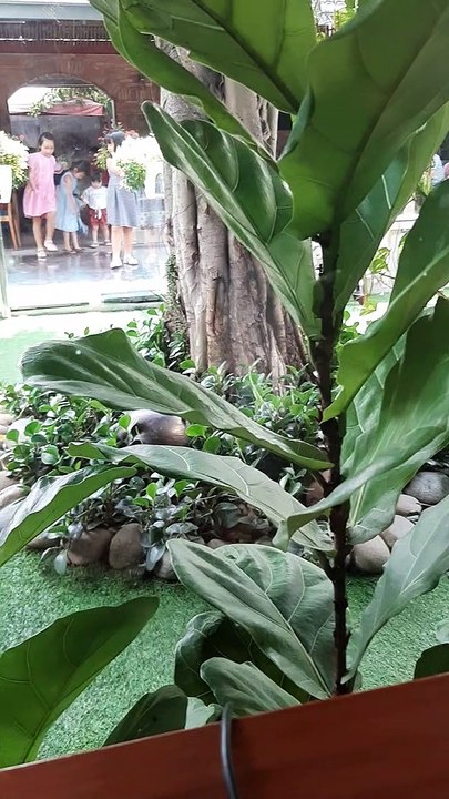 Hôm nay bà lại làm gờ líp
