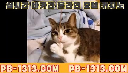 로투스 바카라 방법$%$%【[[ぶ pb-1313.CoM ぶ]]】$%$%로투스 바카라 방법