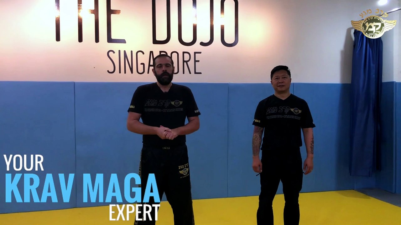 KRAV MAGA TERRORIST CONTROL ABOUT ME AND KRAV MAGA krav-maga-on-line.com