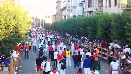 Cuarto encierro de fiestas de Tafalla 2019