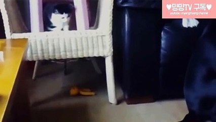 제주출장안마 -후불100%ョOiOV5694V2960｛카톡BRO87｝ 제주전지역출장안마 제주오피걸 제주출장마사지 제주안마 제주출장마사지 제주출장콜걸샵 ♩●₤제주출장샵