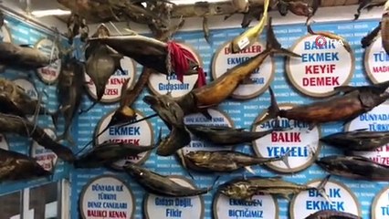 Türkiye Deniz Canlıları Müzesi ziyaretçi rekoru kırdı
