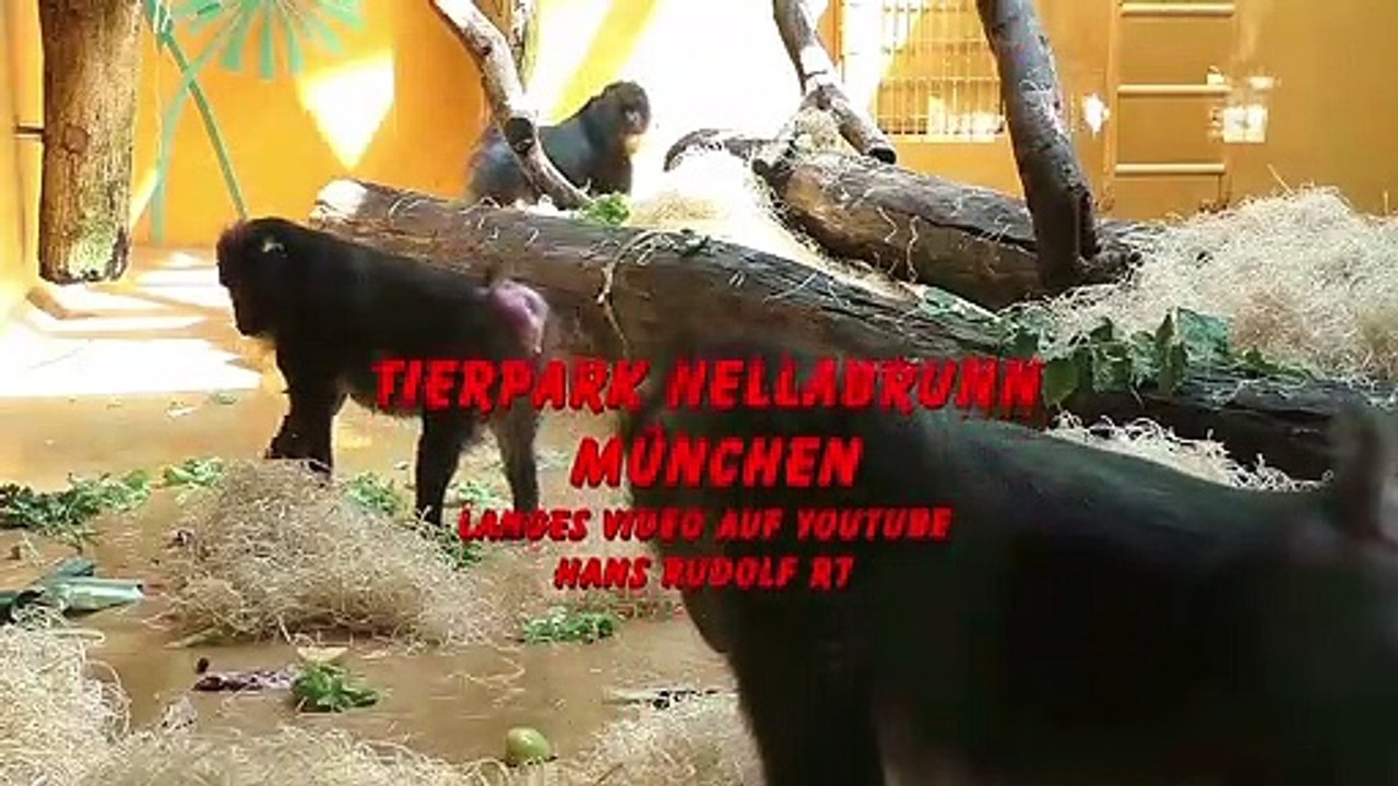 Trailer Zoo hellabrunn