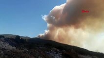 MUĞLA Milas'ta orman yangını çıktı