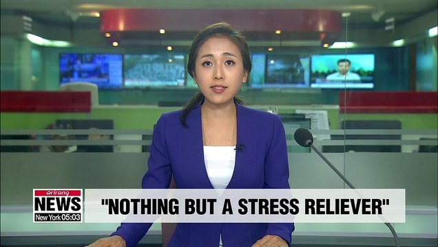 Japan's export curbs merely relieve stress on Abe gov't: Japanese economist