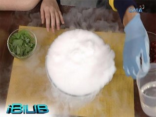 iBilib: Imitation liquid nitrogen experiment