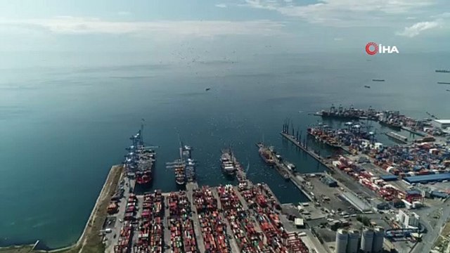 Leyleklerin gökyüzündeki dansı görsel şölen sundu