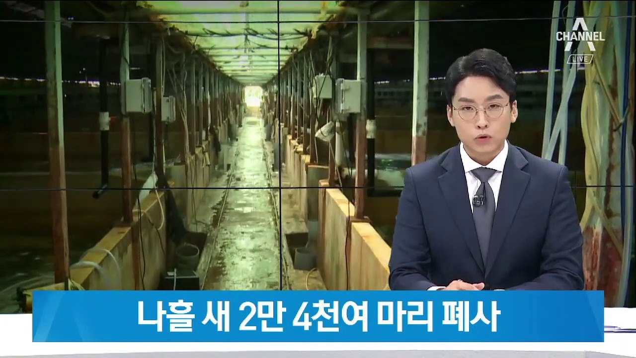 고수온에 동해안 물고기 떼죽음…산소 공급·얼음 투입 ‘역부족’