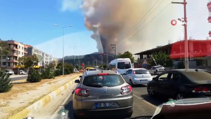 Milas’taki orman yangını tarım arazilerine sıçradı