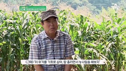 '옥수수 부농의 비밀!' 사계절 내내 옥수수를 판매하기 위한 노하우 공개!