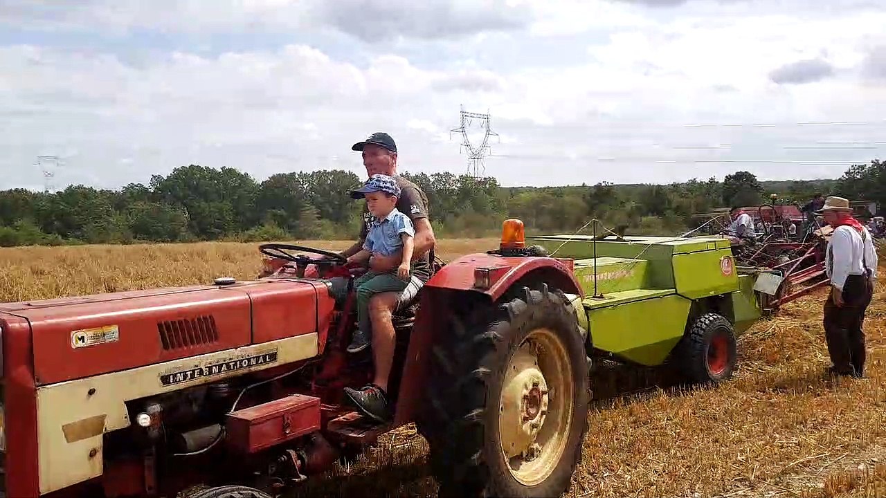 Une démonstration de faucheuse-lieuse de 1956 à Gondrecourt-le-Château