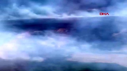 İZMİR Urla'da orman yangını çıktı