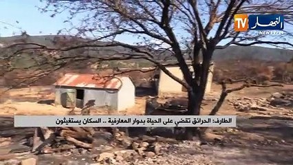 الطارف/ الحرائق تقضي على الحياة بدوار المعارفية السكان يستغيثون
