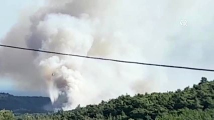 Urla'da orman yangını