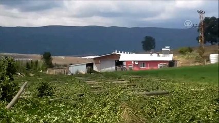 Pazaryeri'nde yağış zarara yol açtı