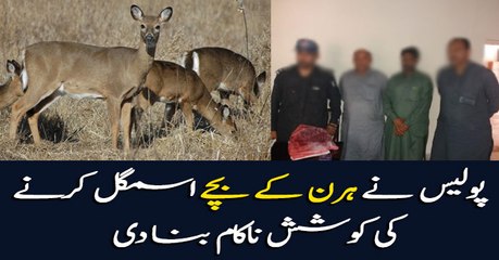 Police foils bid to smuggle fawns