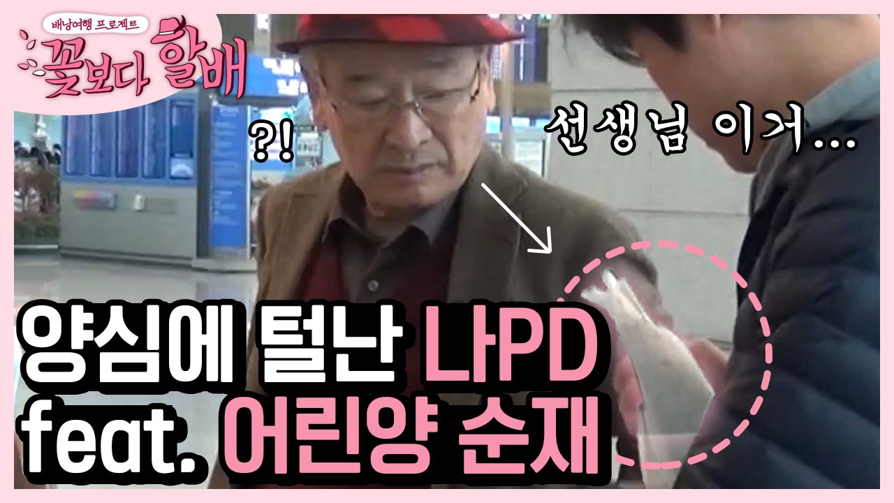 ★레벨 업★ 꽃보다 할배 여행 눈 뜨고 코 베이는 양심털보 나영석 투어 | #깜찍한혼...
