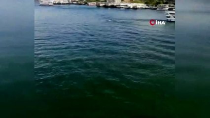 Haliç Köprüsünde dengesini kaybedip denize düştü, yolcu gemisi böyle kurtardı