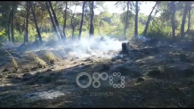 RTV Ora - Fier, zjarr në një sipërfaqe me pyje në Seman