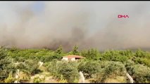 İZMİR Urla'da orman yangını çıktı -4