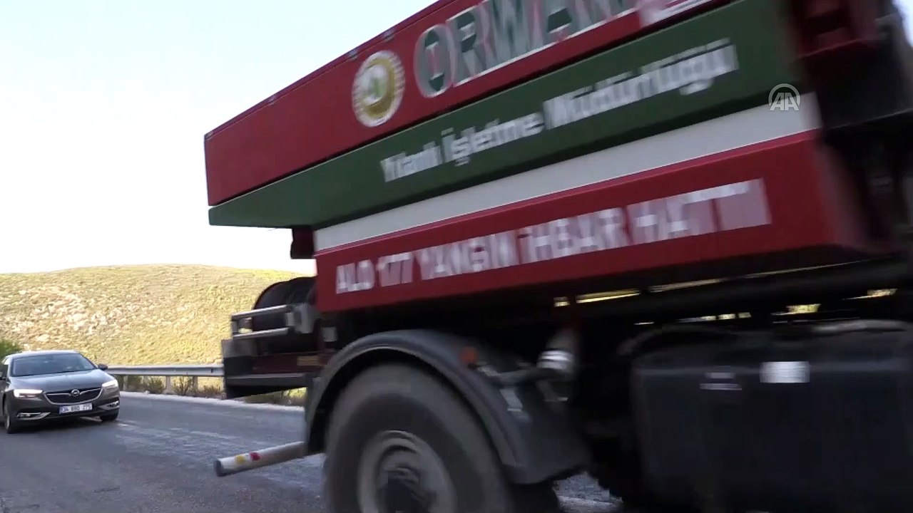 Muğla'daki orman yangınları devam ediyor