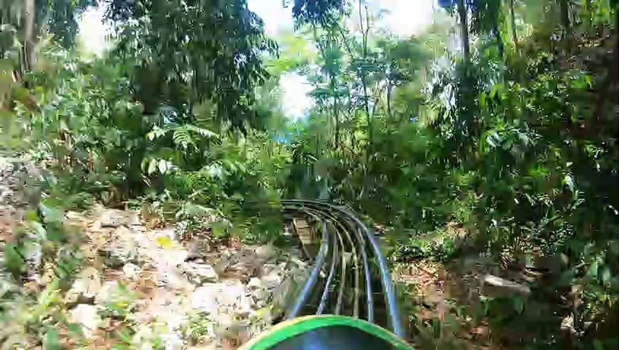 Parcours de bobsleigh dans la forêt en Jamaïque entre les arbres ! Rasta Rockett