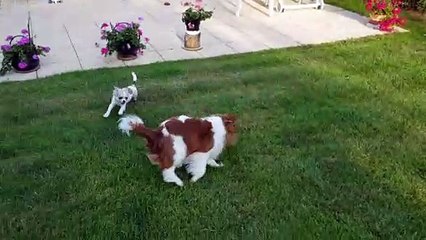 Juliane et Phloème jeux du soir