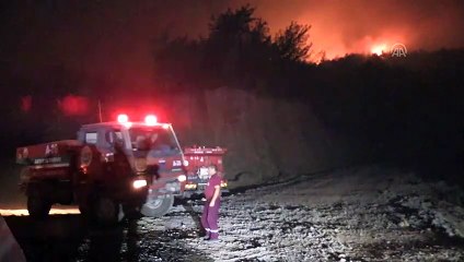 Antakya'daki orman yangını kontrol altına alındı (2) - HATAY