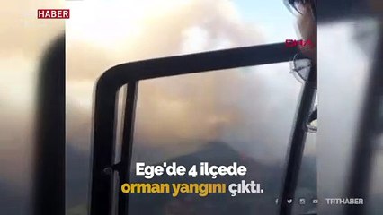 Ege'de 4 ilçede orman yangını