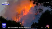 [이 시각 세계] 그란카나리아섬 '공포의 주말'…또 대형산불