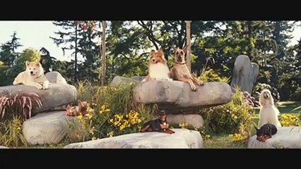 용산역출장안마 -후불100%ョOiOV2671V8135｛카톡ZHF526｝ 용산역전지역출장안마 용산역오피걸 용산역출장마사지 용산역출장안마 용산역출장마사지 용산역콜걸샵안마 용산역출장아로마 용산역출장안마후기ゔ◎⾽용산역출장샵