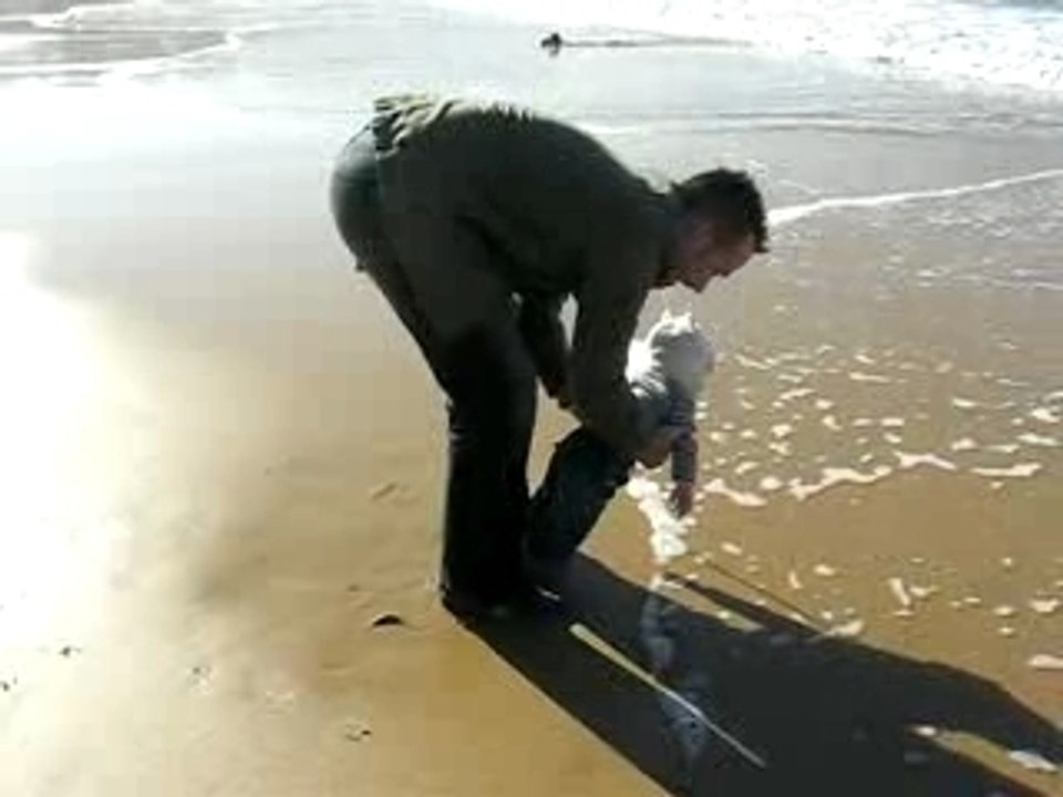 Là je touche la mer