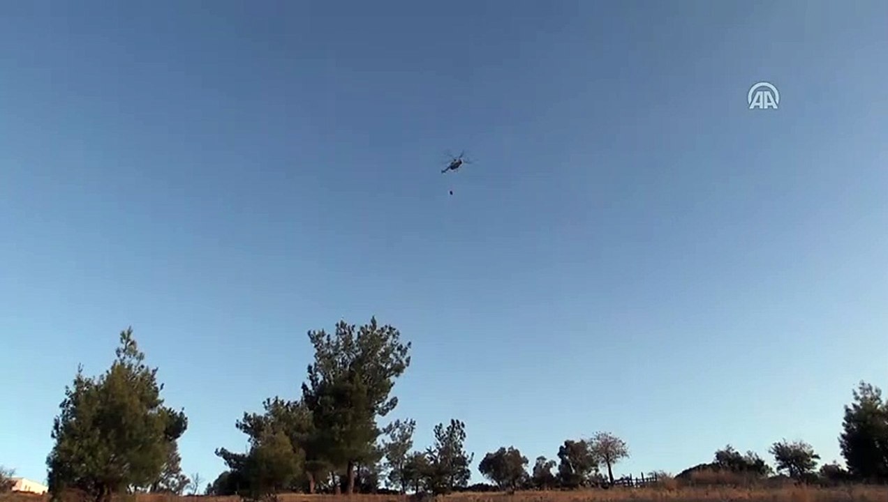 Muğla'daki orman yangınları