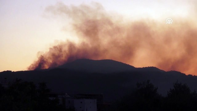 Muğla'daki orman yangınları kısmen kontrol altına alındı
