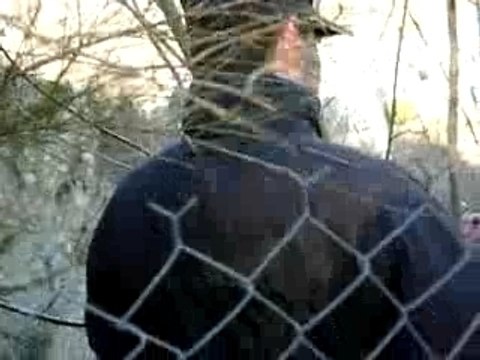 Rallye Monte Carlo 2008 : ES 6 Saint Pierreville avec Loeb