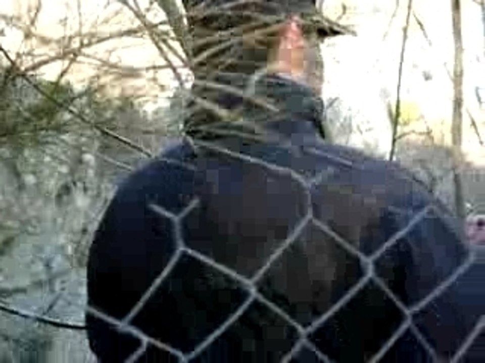 Rallye Monte Carlo 2008 : ES 6 Saint Pierreville avec Loeb