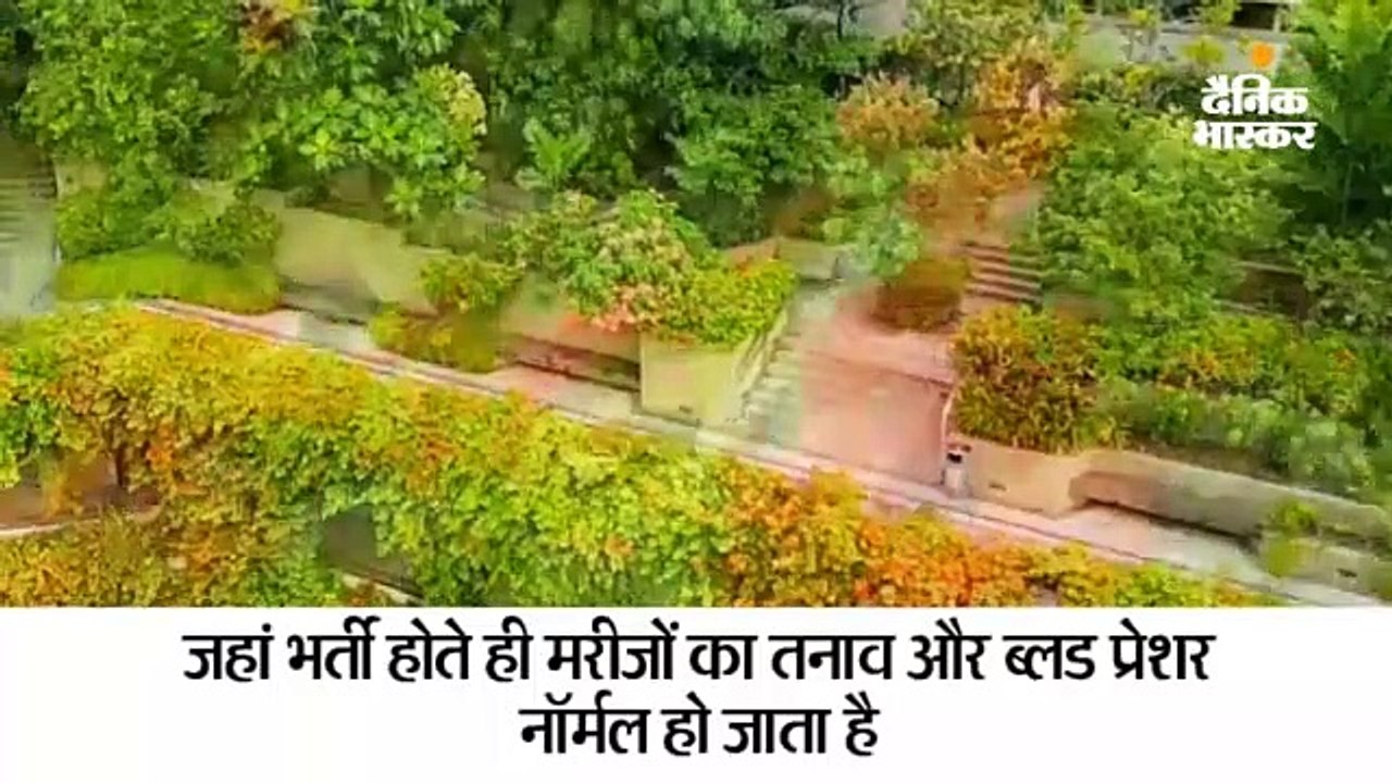 मरीजों को सुकून देने वाला अस्पताल, यहां हैं 700...