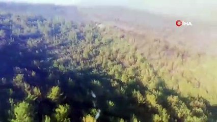 Bodrum’da yangın kontrol altında, Milas’ta çalışmalar devam ediyor