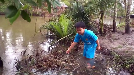 Xem Đi Thăm Lờ Bắt Cá Ở Miền Tây