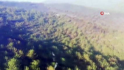 Bodrum’da yangın kontrol altında, Milas’ta çalışmalar devam ediyor