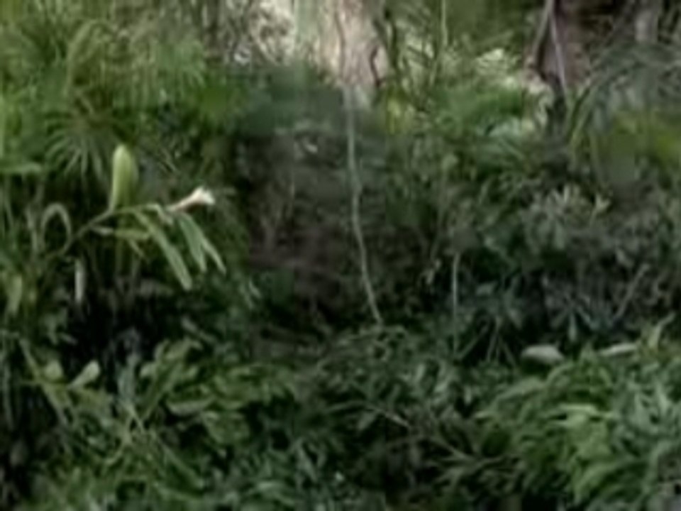 Lost.MissingPieces.113.Mobisode.13.VOSTFR.Webrip.XviD-PM4