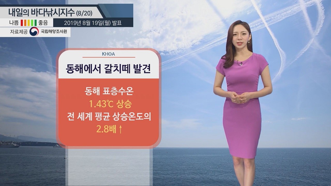 [내일의 바다낚시지수] 8월20일 폭염 수온 높아져 속초 앞바다 난류성 어종 갈치떼 발견  / YTN