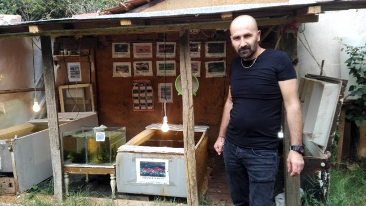 Hobi olarak akvaryum karidesi yetiştirmeye başladı! Şimdi siparişlere yetişmeye çalışıyor