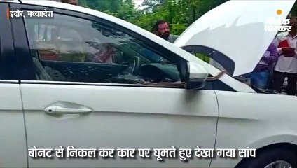 एसपी की कार में घुसा सांप, पुलिसकर्मियों ने डंडा फटकारते हुए निकाला बाहर